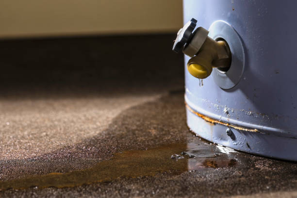 Best 24-hour water damage restoration  in Manitou Beach Devils Lake, MI