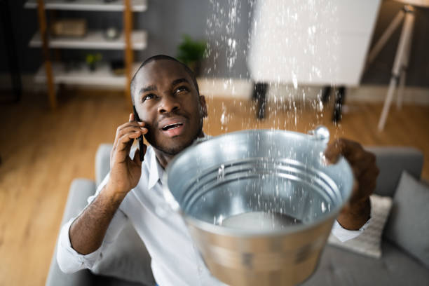 Best 24/7 water damage repair  in Manitou Beach Devils Lake, MI