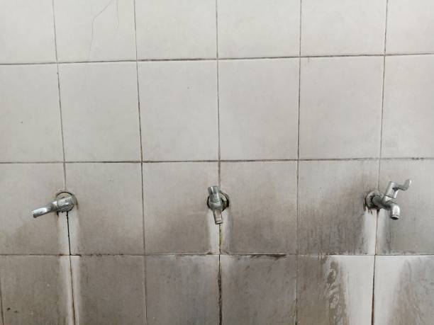 Best Fire Damage Restoration  in Manitou Beach Devils Lake, MI